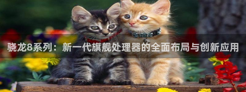超级大满贯下载专区