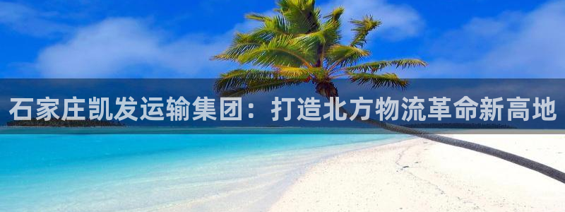 大满贯app官方版