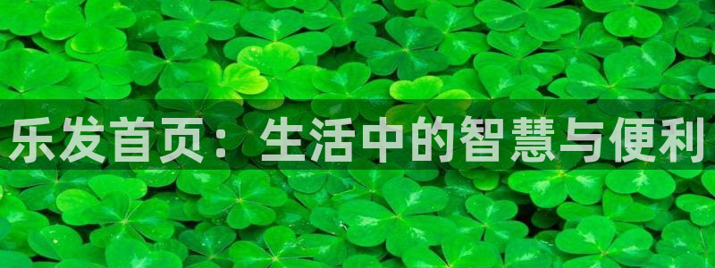 大满贯棋牌官网下载