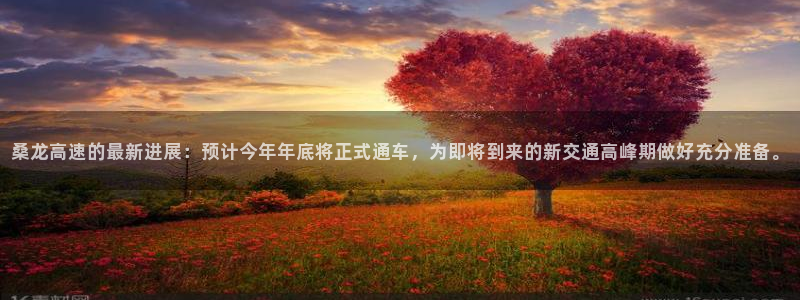 大满贯网站