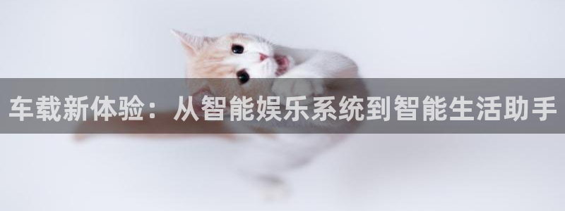 wtt美国大满贯最新战况