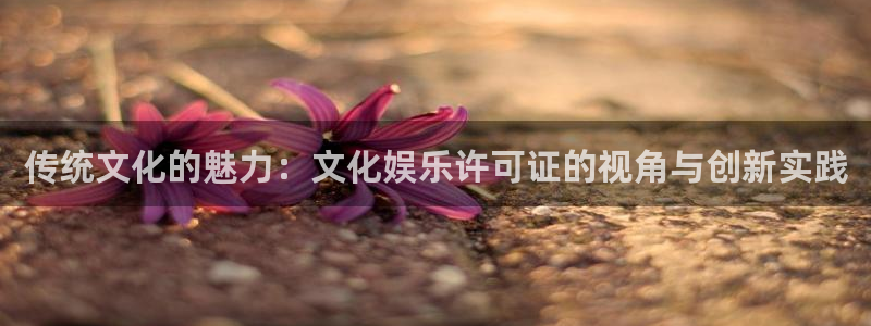 大满贯app登录入口官网