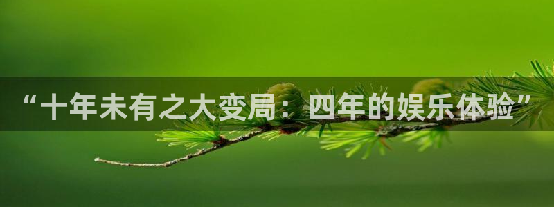 大满贯平台