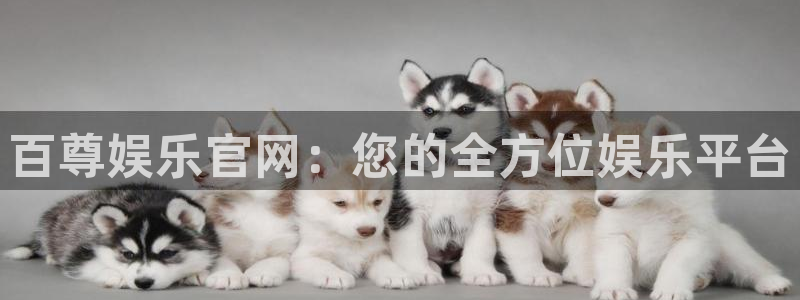大满贯注册登录入口