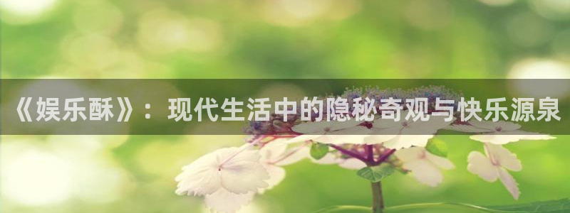 大满贯官网下载