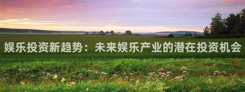 大满贯网站