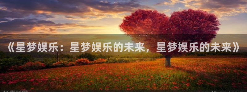 大满贯国际app登录入口官网