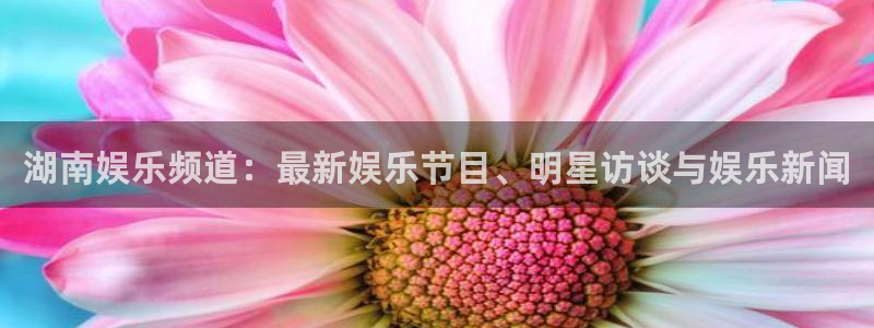 大满贯官网界面视觉重构.活动专区.中国