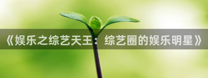 大满贯官网：《娱乐之综艺天王：综艺圈的娱乐明星》
