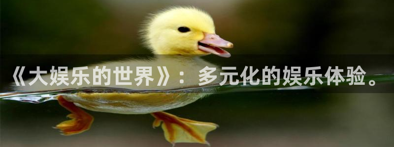 大满贯官网登录入口：《大娱乐的世界》：多元化的娱乐体验。