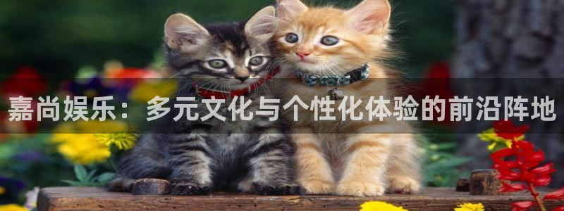 超级大满贯下载：嘉尚娱乐：多元文化与个性化体验的前沿阵地