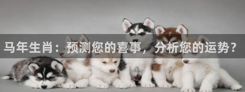 大满贯棋牌网：马年生肖：预测您的喜事，分析您的运势？