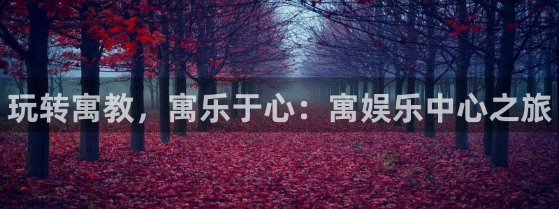 大满贯官网界面视觉重构.活动专区.中国：玩转寓教，寓乐于心：寓娱乐中心之旅