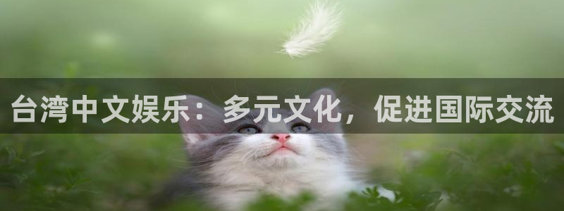 大满贯官网下载：台湾中文娱乐：多元文化，促进国际交流