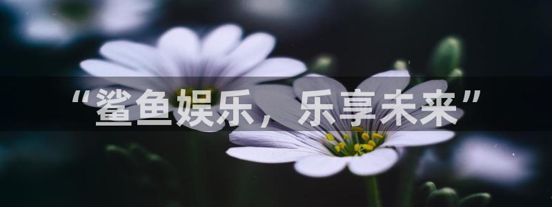 大满贯娱官网app下载入口：“鲨鱼娱乐，乐享未来”