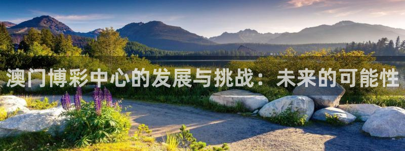 大满贯app官方版