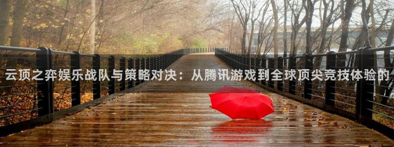 大满贯软件网站
