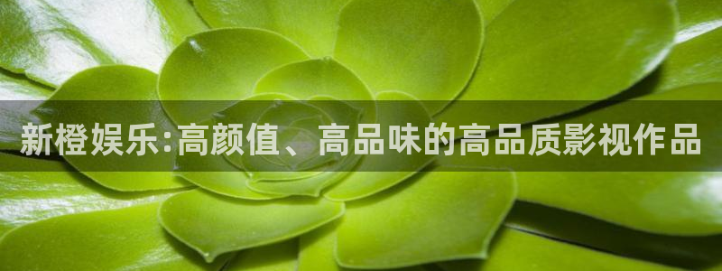 大满贯国际app登录入口官网
